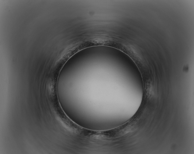 X0000089930408200707061043