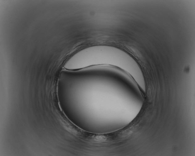 X0000089930409200707061043