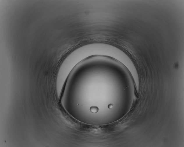 X0000089930411200707061043