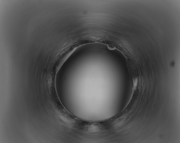 X0000089930412200707061043