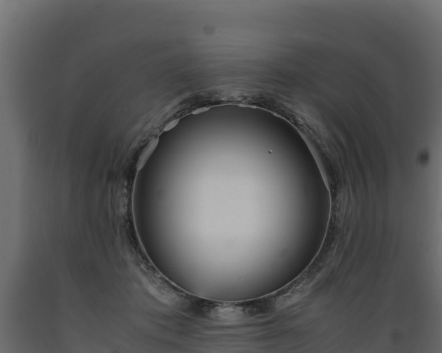 X0000089930413200707061043