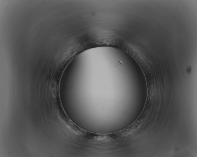 X0000089930414200707061043