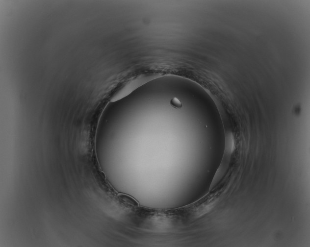 X0000089930416200707061043