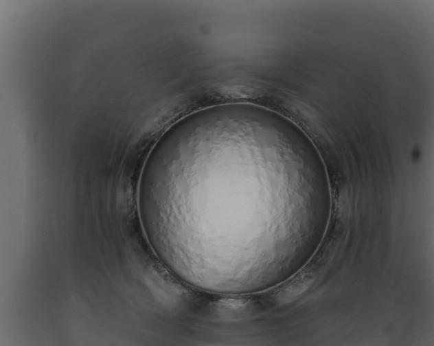 X0000089930418200707061043