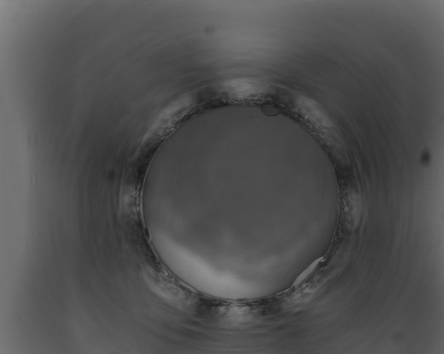 X0000089930419200707061043