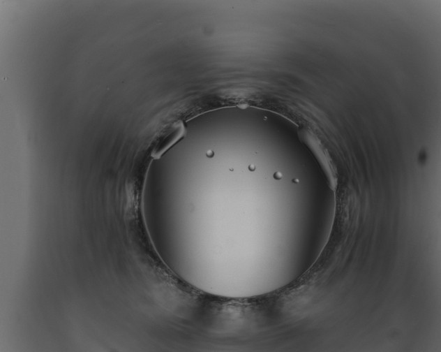 X0000089930420200707061043