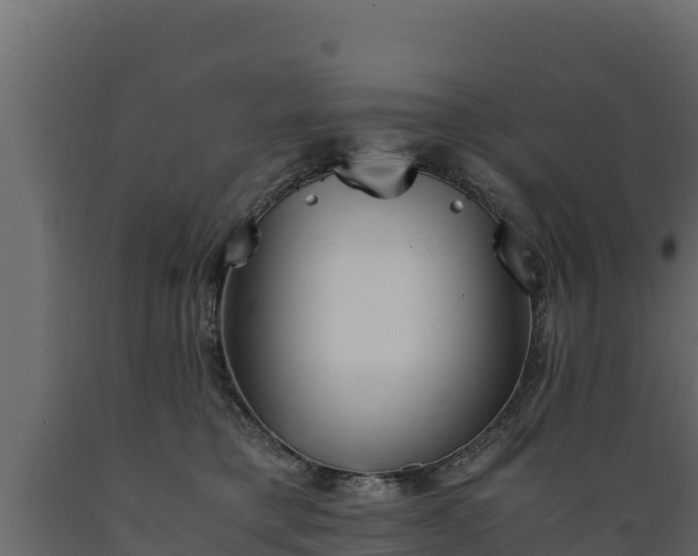 X0000089930421200707061043