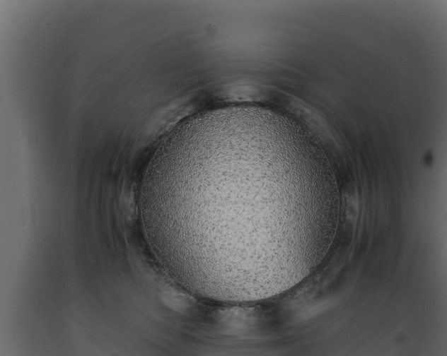 X0000089930422200707061043