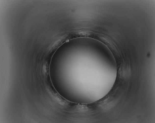 X0000089930424200707061043