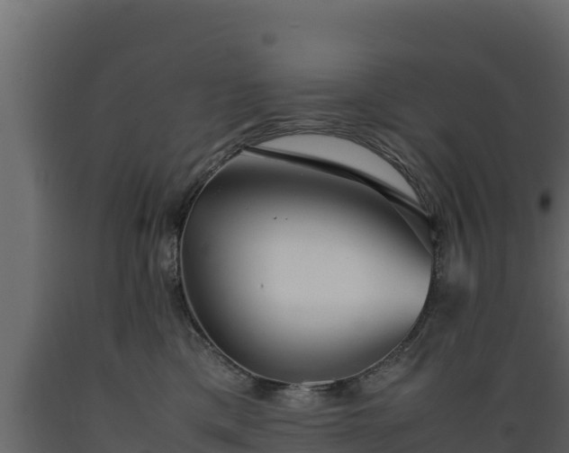 X0000089930425200707061043