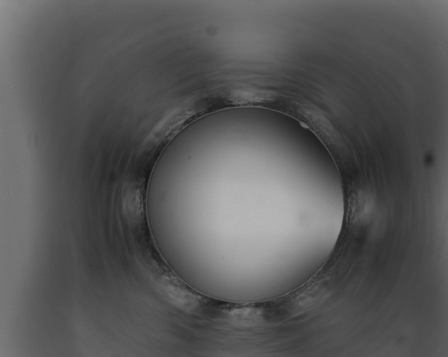 X0000089930426200707061043