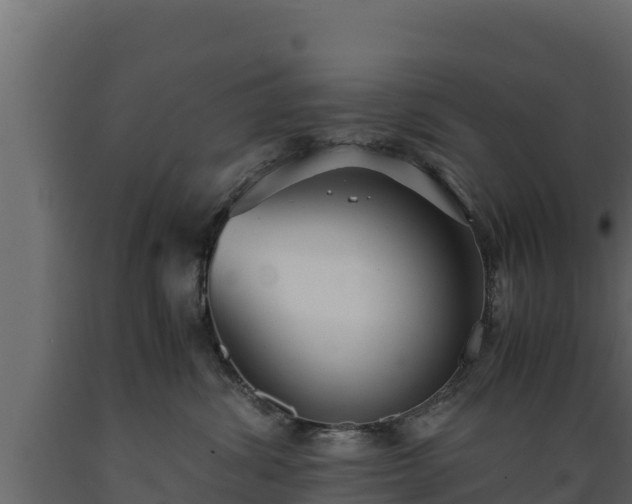 X0000089930428200707061043