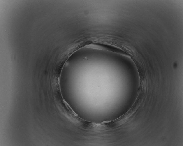 X0000089930429200707061043