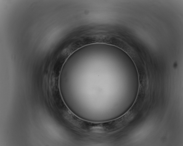 X0000089930430200707061043