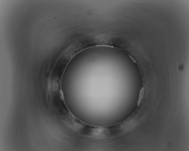 X0000089930432200707061043