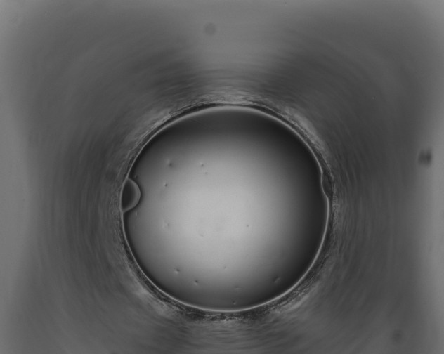 X0000089930433200707061042