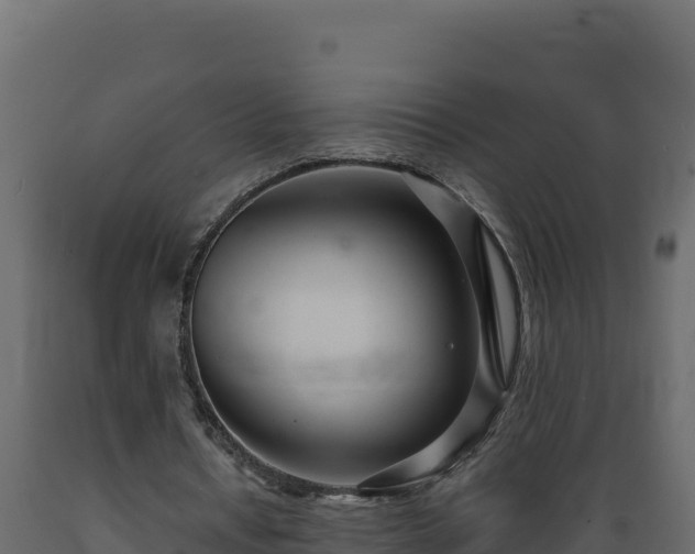 X0000089930434200707061042