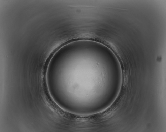 X0000089930435200707061042