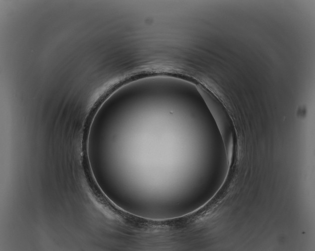 X0000089930438200707061042