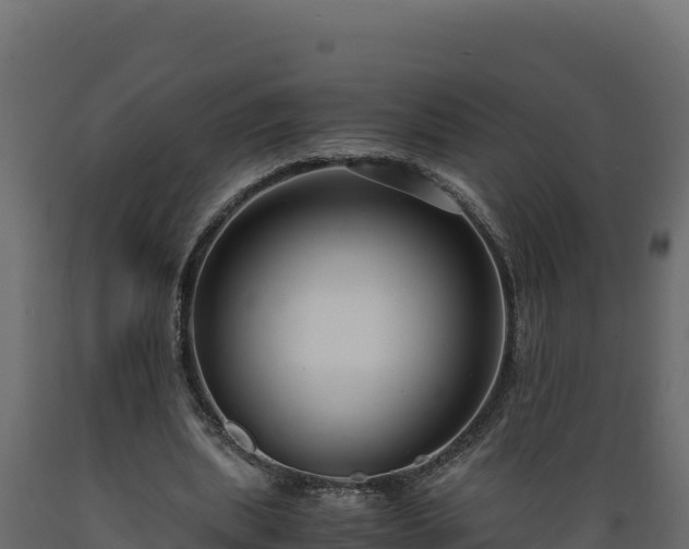 X0000089930439200707061042