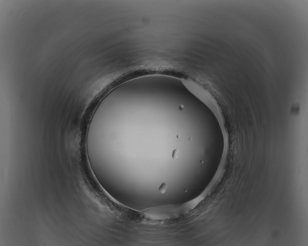 X0000089930440200707061043