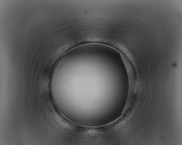 X0000089930441200707061043