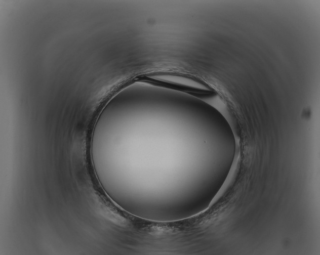 X0000089930442200707061043