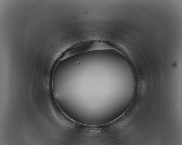 X0000089930443200707061043