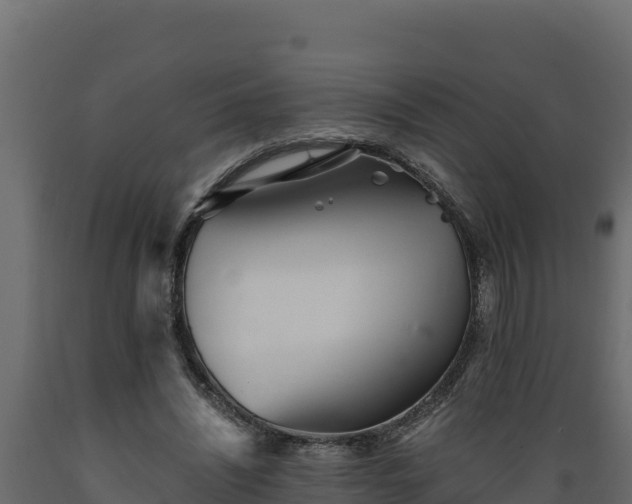 X0000089930444200707061043