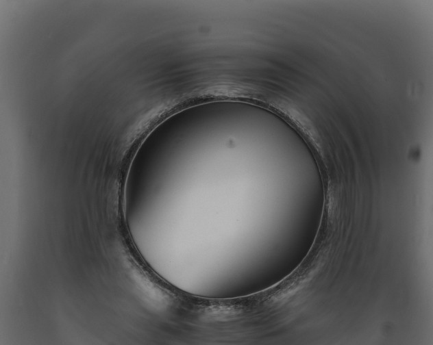 X0000089930445200707061043