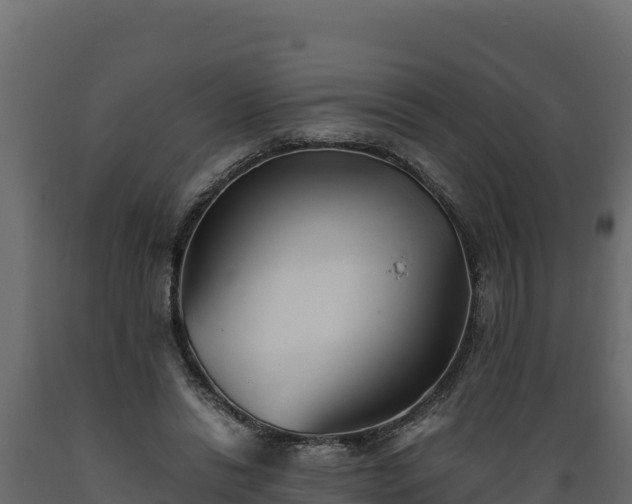 X0000089930446200707061043