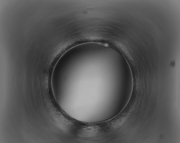 X0000089930447200707061043