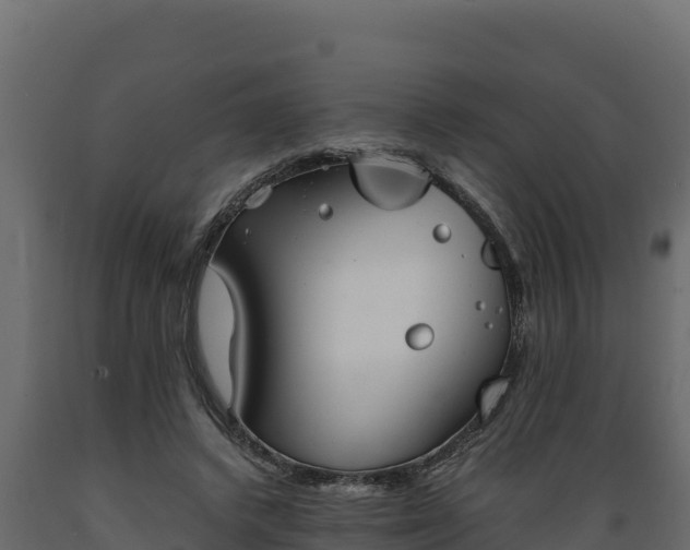 X0000089930448200707061043