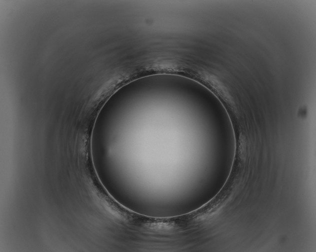 X0000089930449200707061043