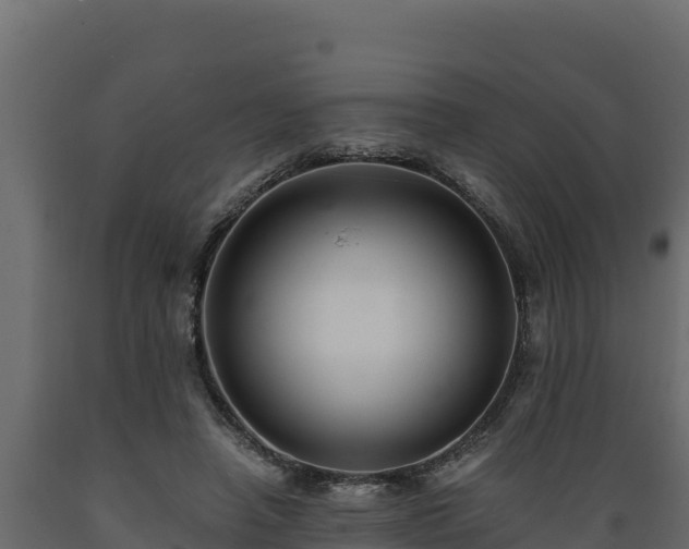 X0000089930450200707061043