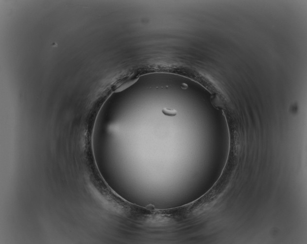 X0000089930451200707061043