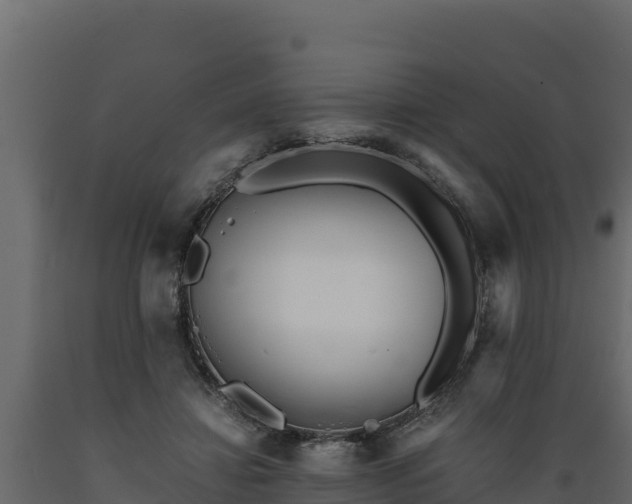 X0000089930452200707061043