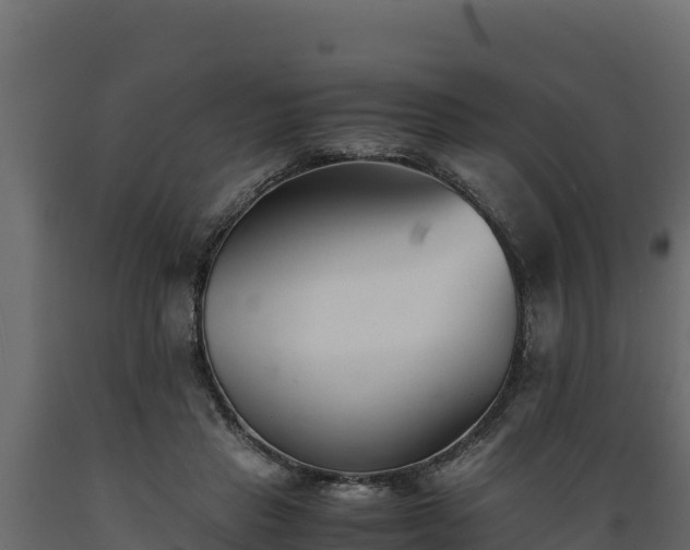 X0000089930453200707061043