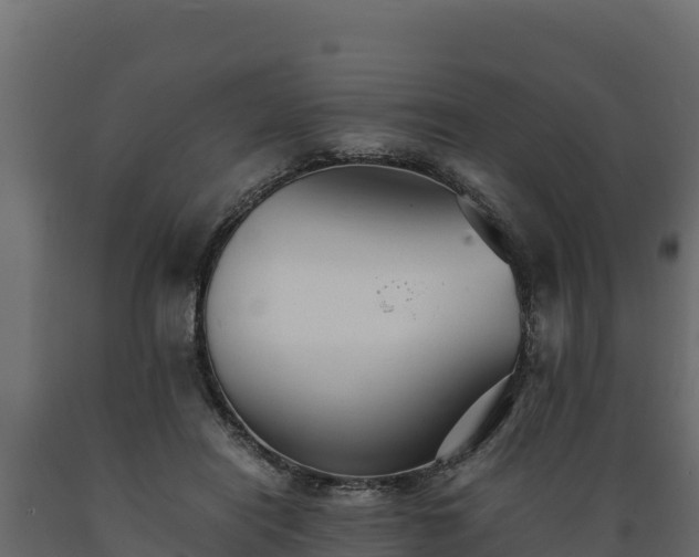 X0000089930454200707061043