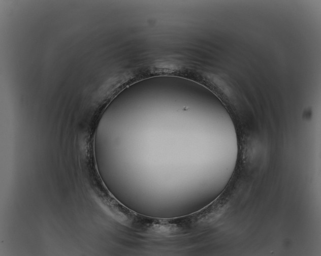 X0000089930455200707061043