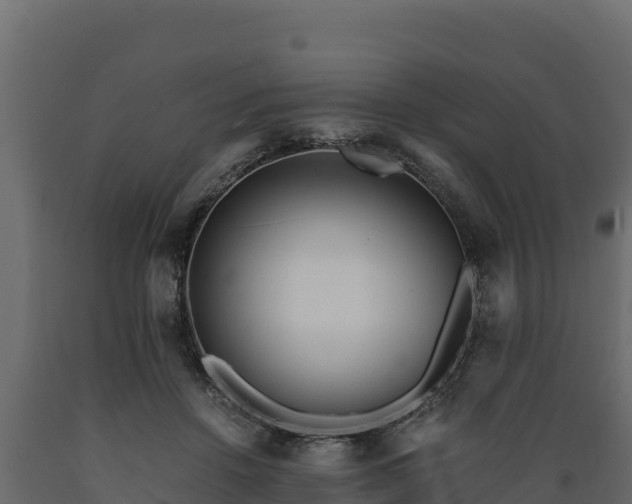 X0000089930456200707061043