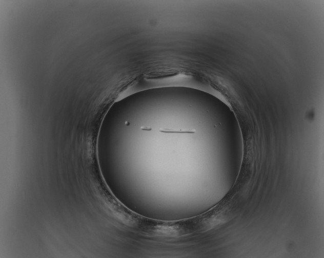 X0000089930457200707061043