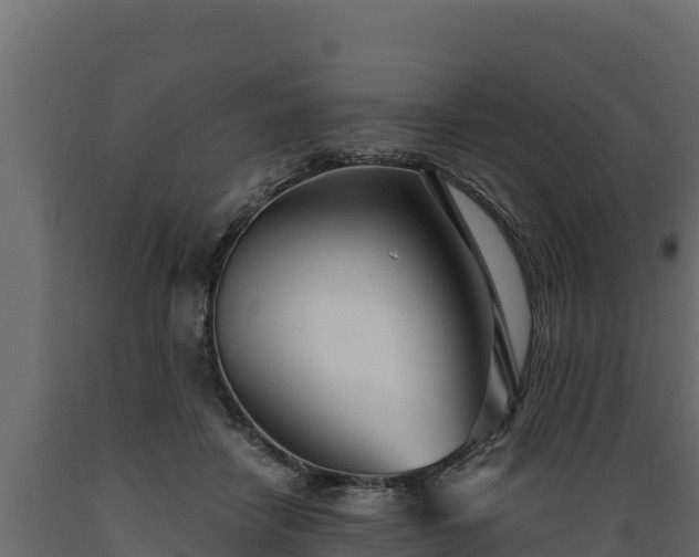 X0000089930458200707061043