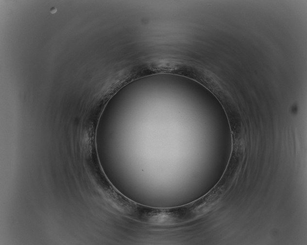 X0000089930460200707061043