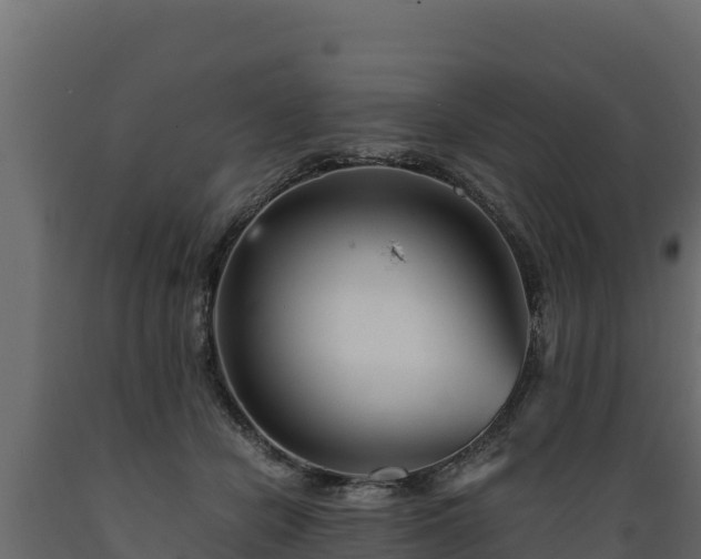 X0000089930462200707061043