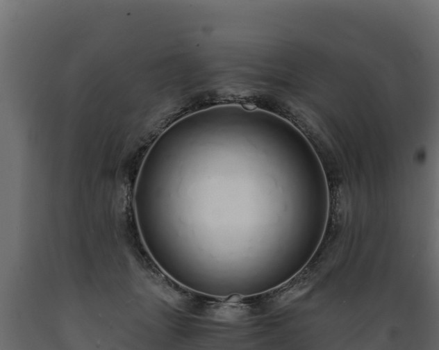 X0000089930463200707061043