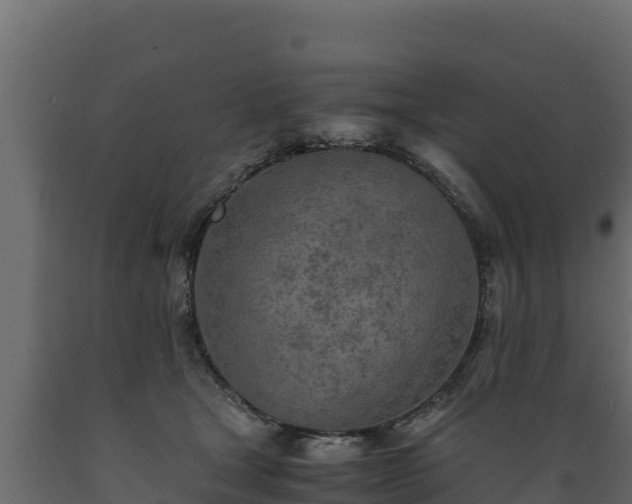 X0000089930465200707061043