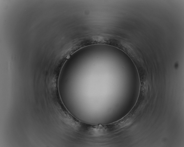 X0000089930466200707061043