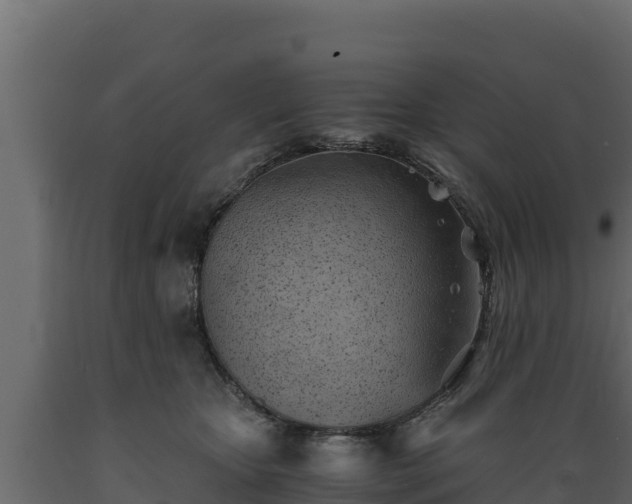 X0000089930467200707061043