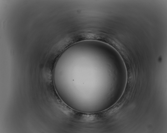 X0000089930469200707061043